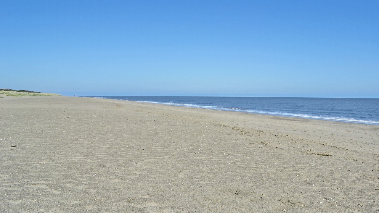 Photo of Others in Boston