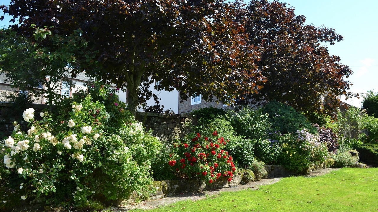 Photo of Outdoor in Ireby