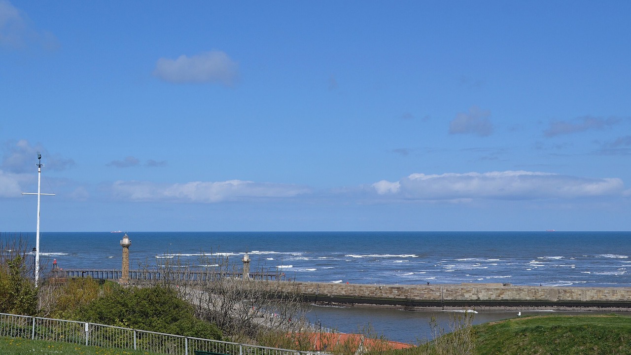 Photo of Others in Whitby