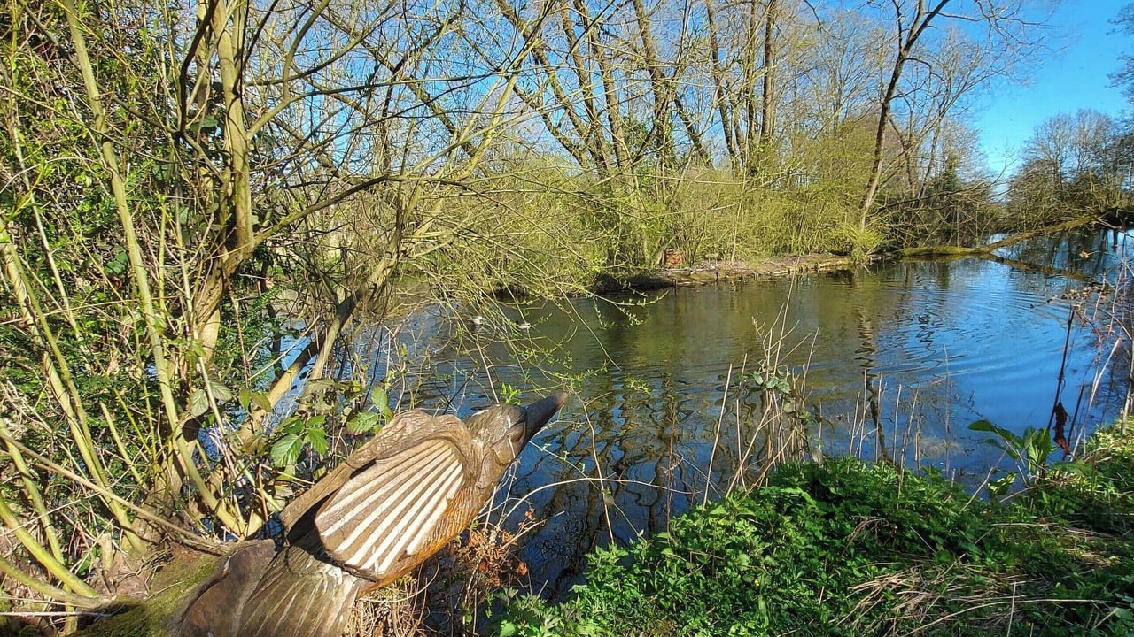 Photo of Others in Thornton Dale