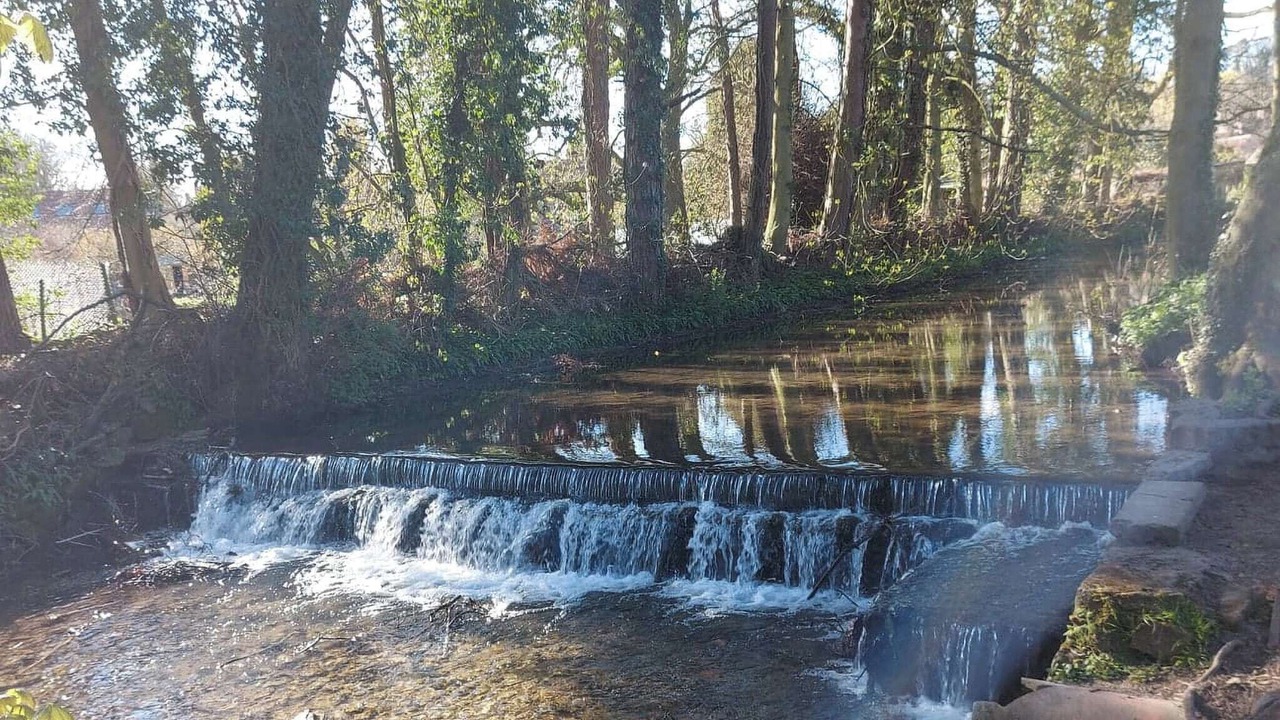 Photo of Others in Thornton Dale