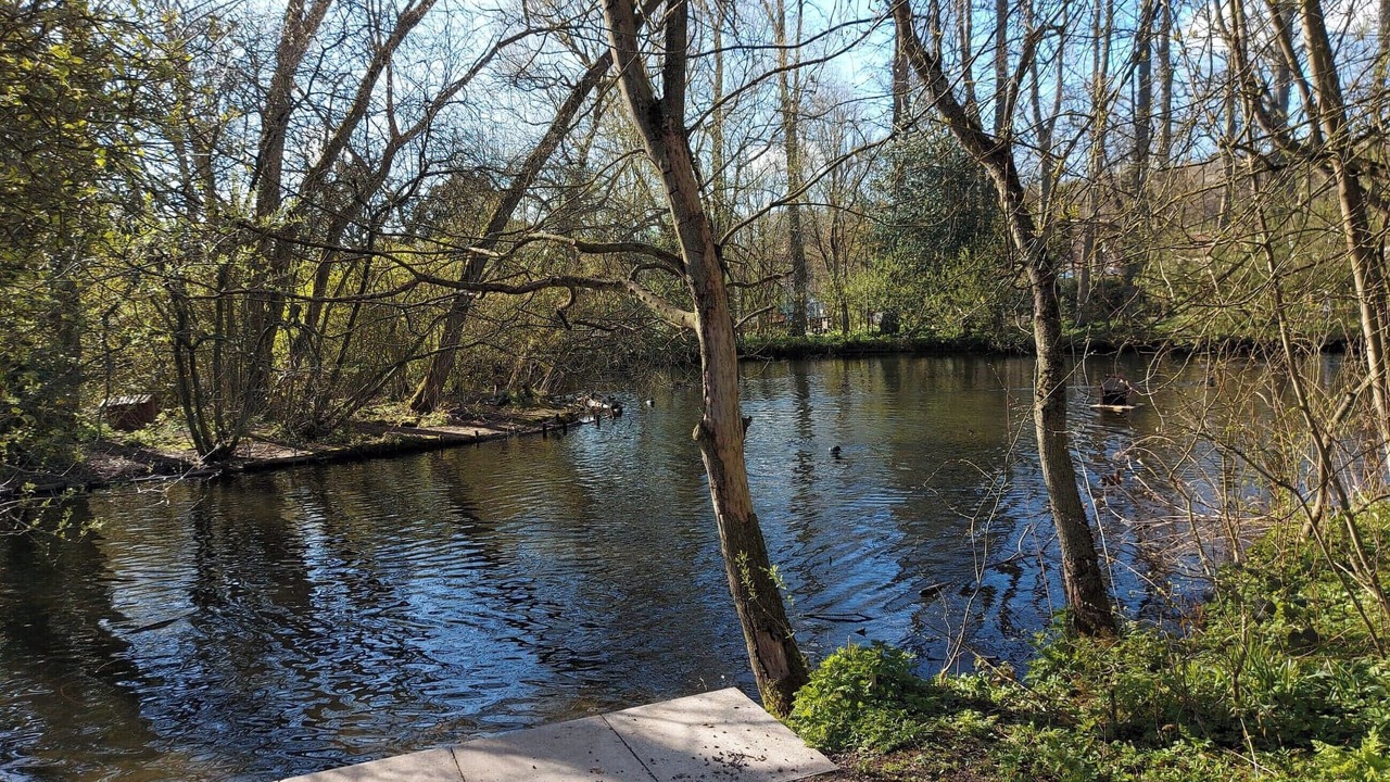 Photo of Others in Thornton Dale