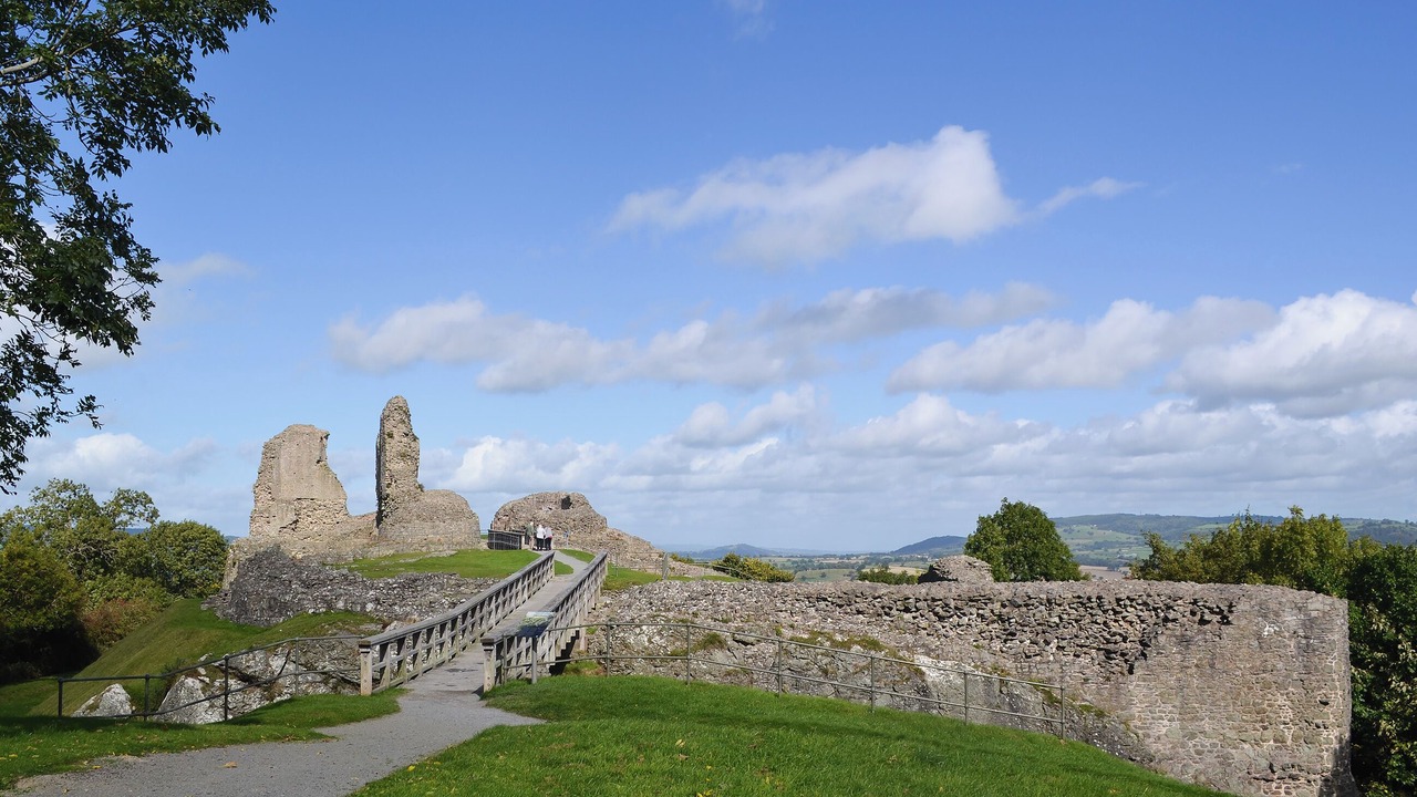 Photo of Others in Montgomery