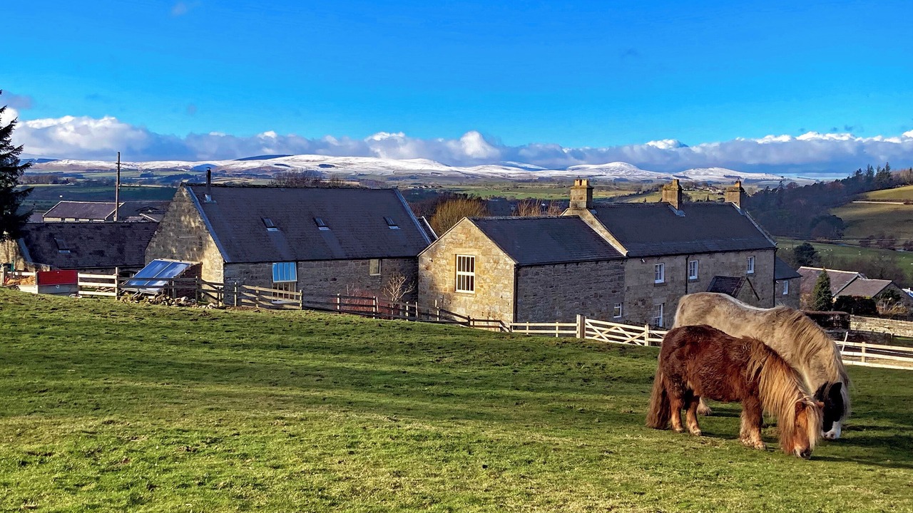 Photo of Others in Old Bewick