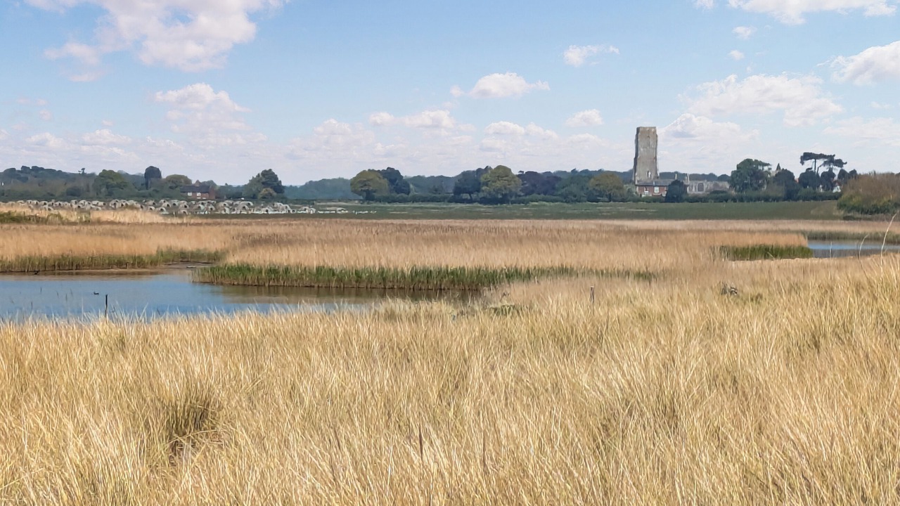 Photo of Others in Halesworth