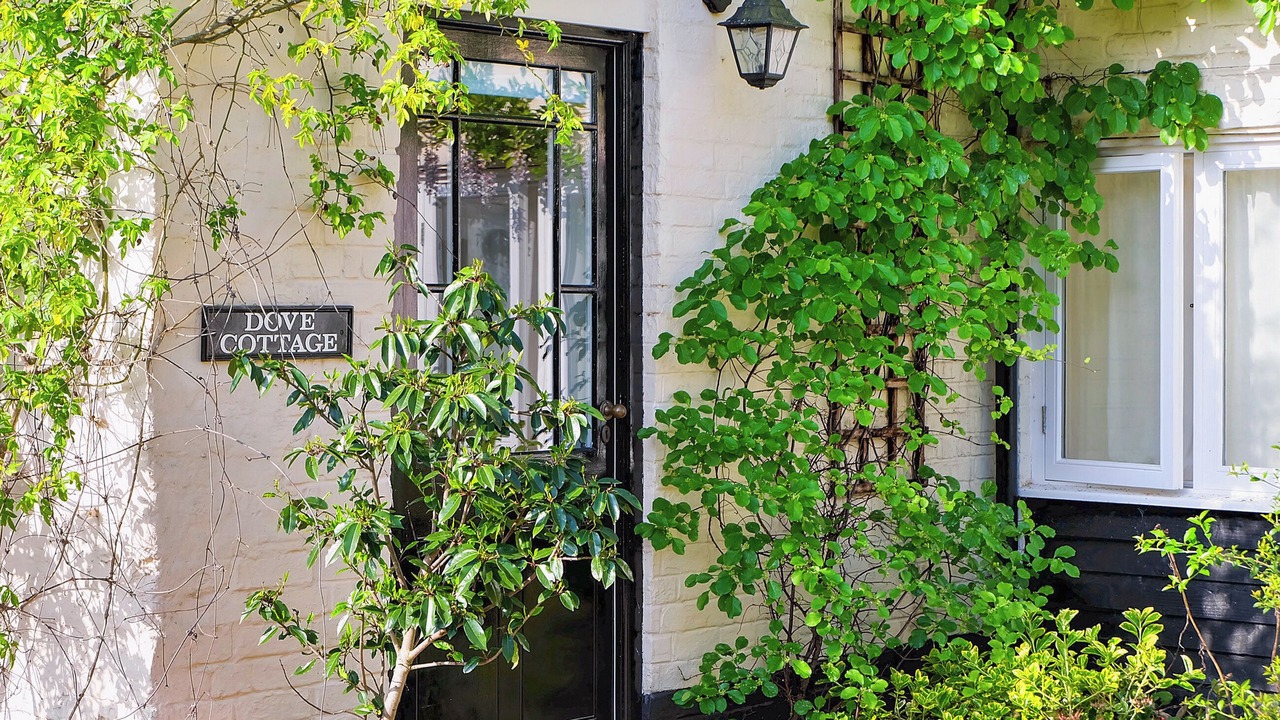 Photo of Others in Halesworth