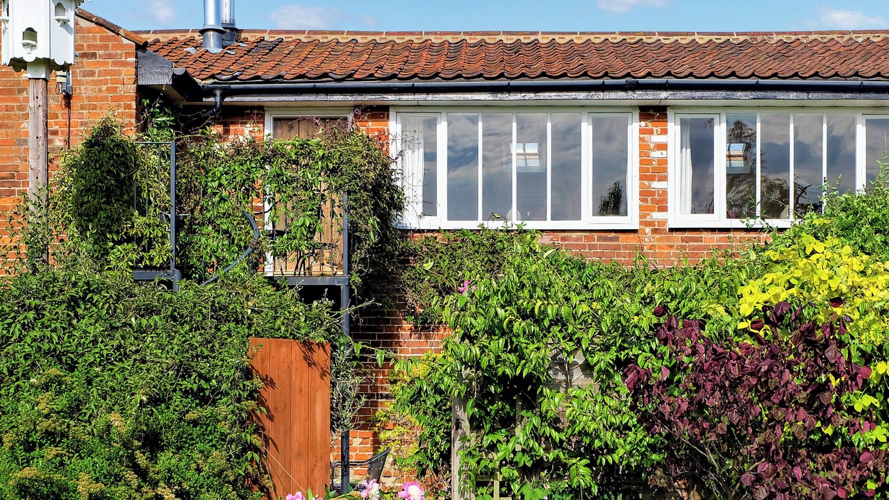 Photo of Outdoor in Halesworth