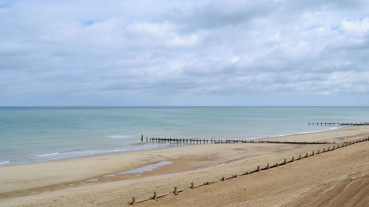 Photo of Others in Bacton