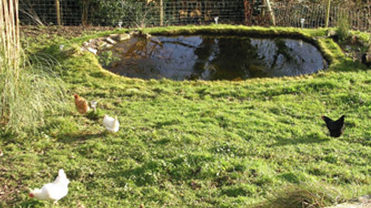 Photo of Others in Longford