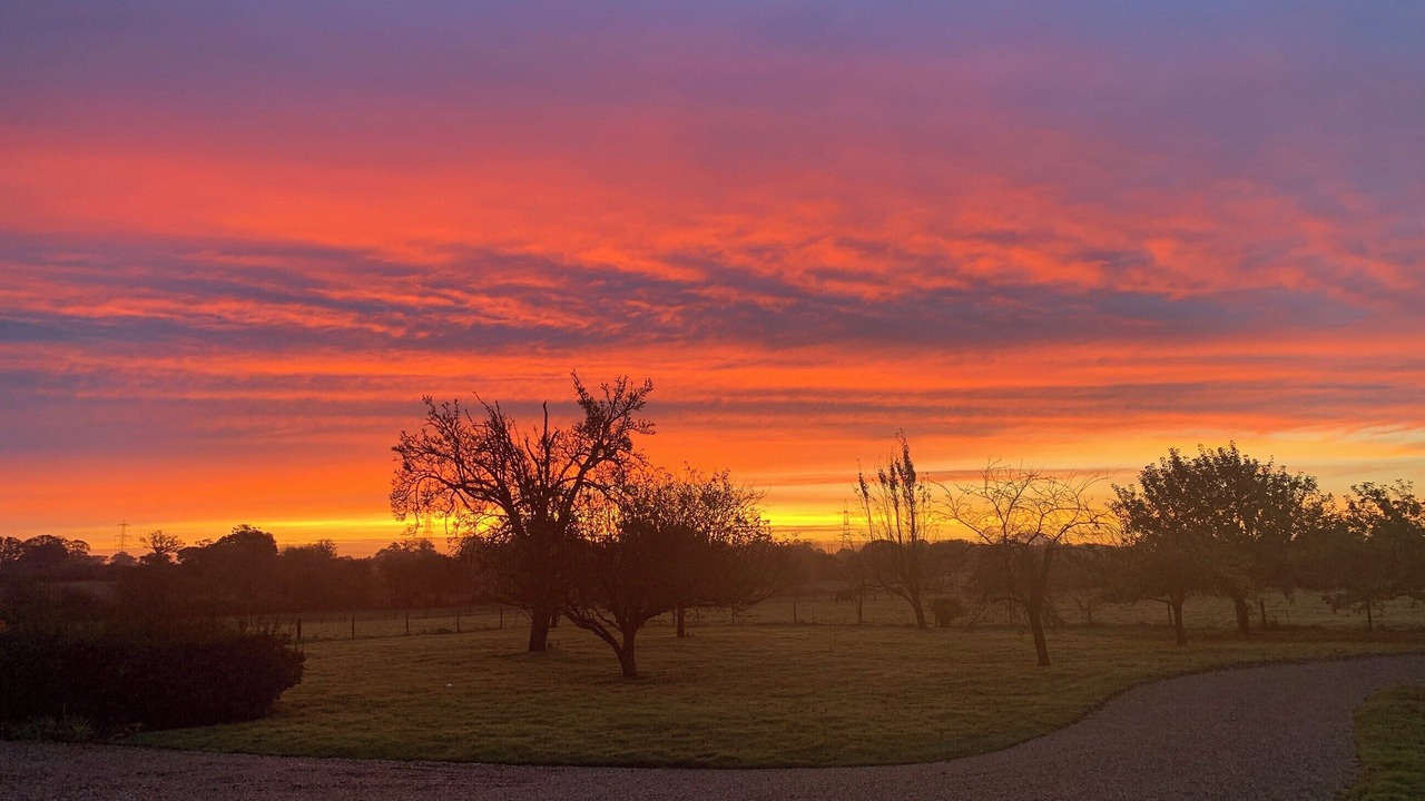 Photo of Others in Diss