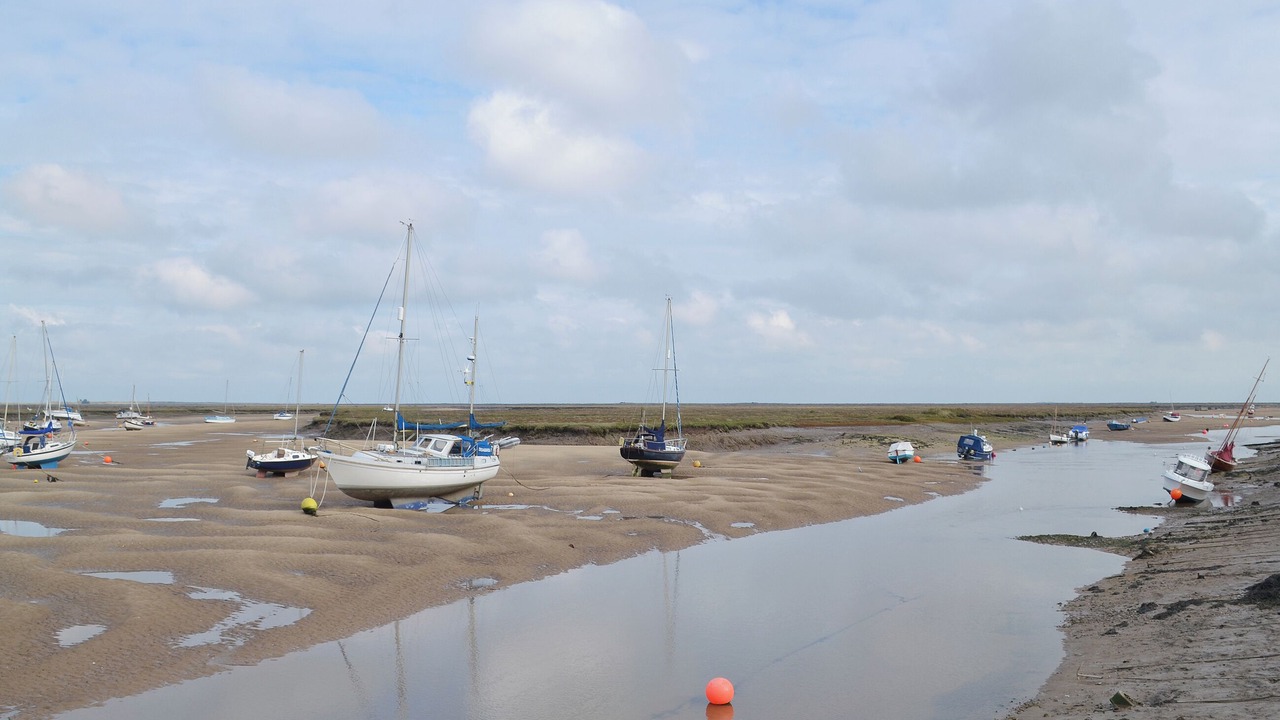 Photo of Others in East Dereham