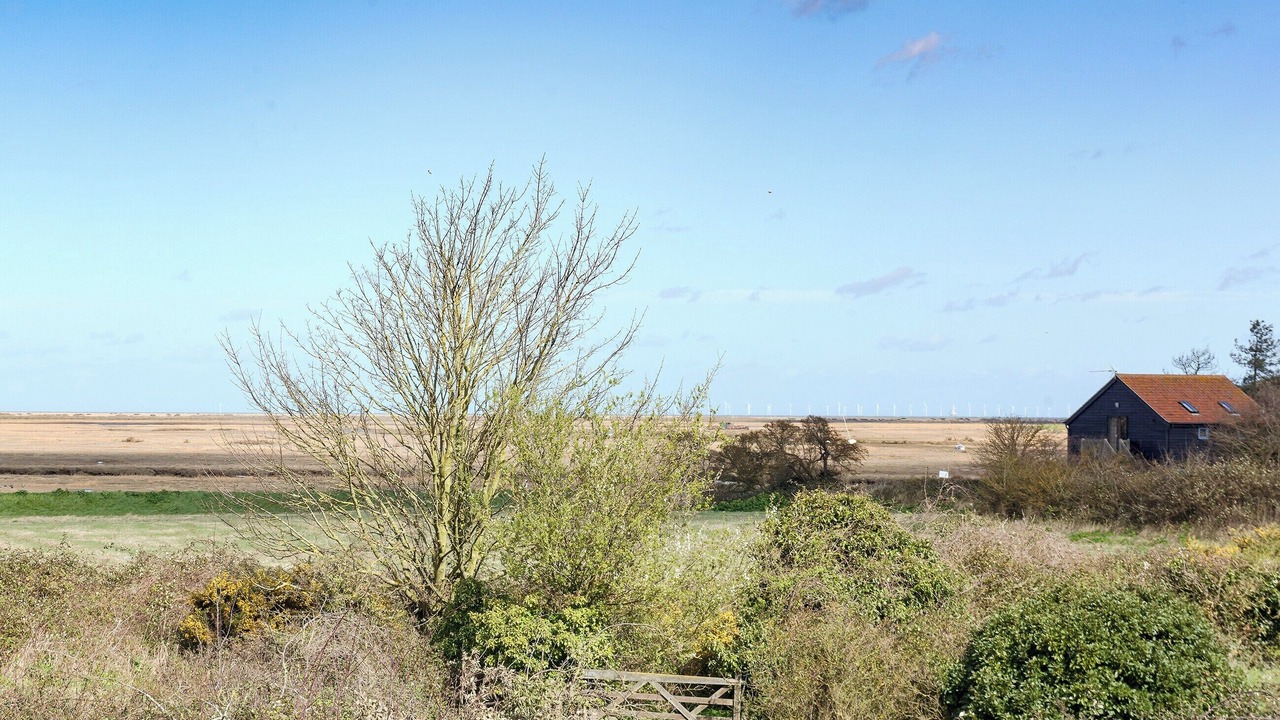 Photo of Others in Holt