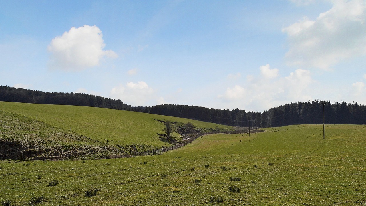 Photo of Others in Lockerbie