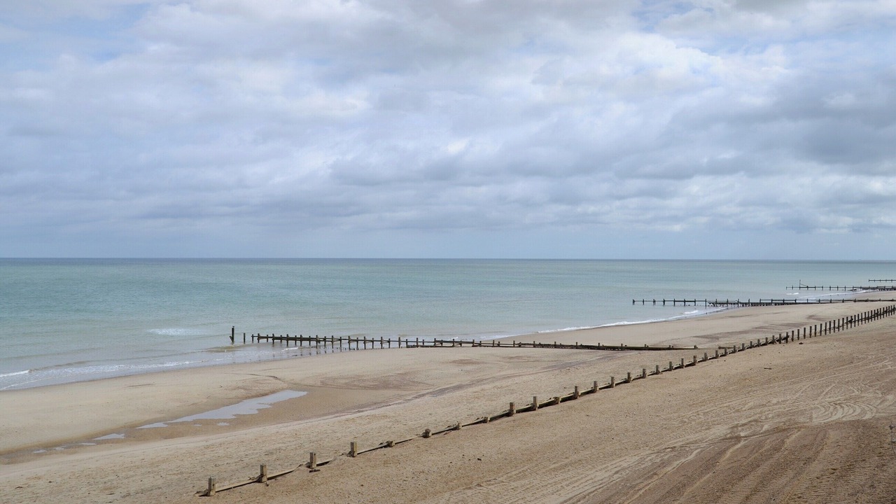 Photo of Others in Walcott