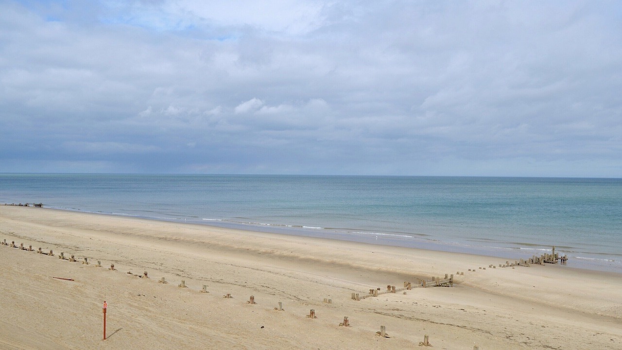 Photo of Others in Walcott