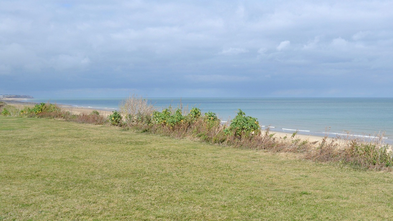 Photo of Others in Walcott