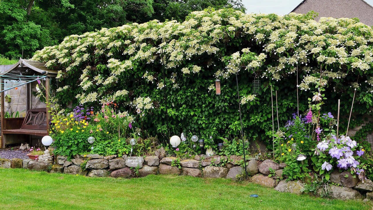 Photo of Outdoor in Wooler