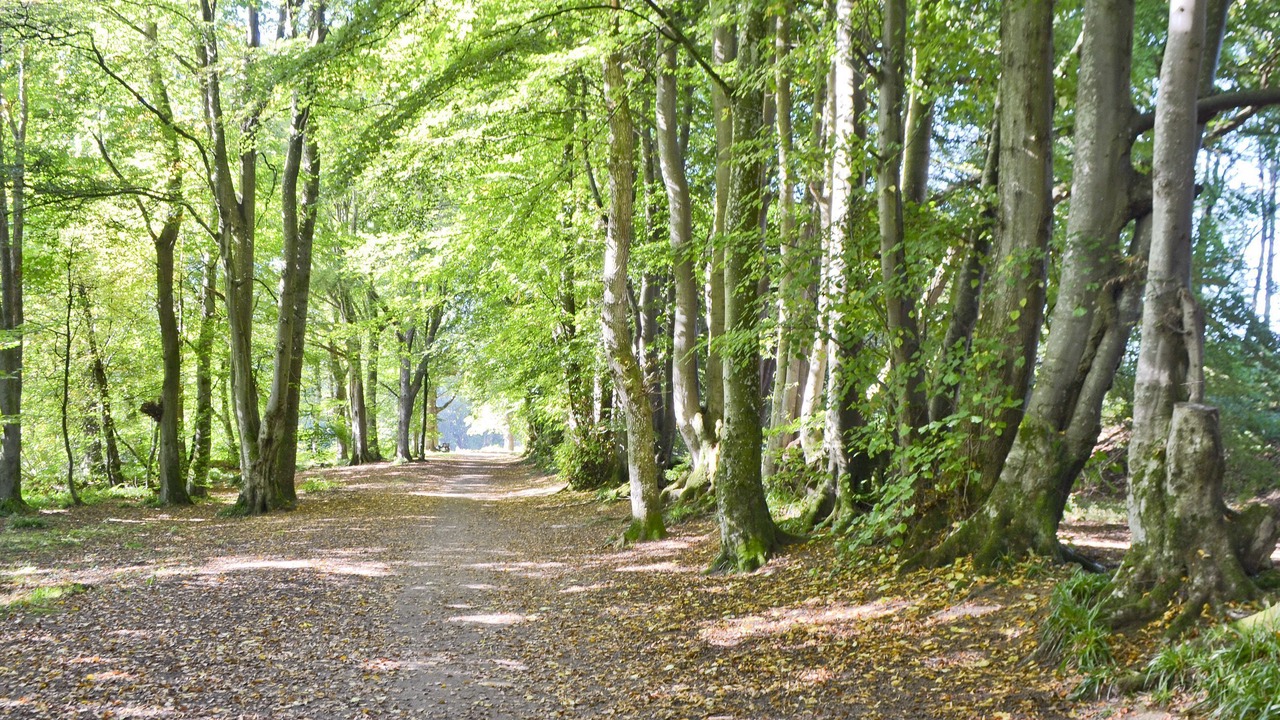 Photo of Others in Crieff