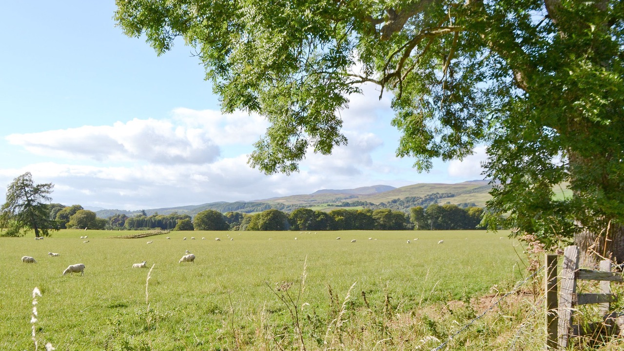 Photo of Others in Crieff