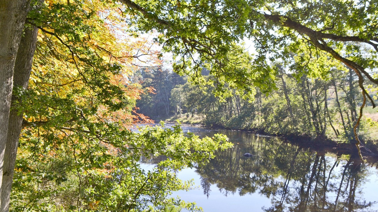 Photo of Others in Crieff