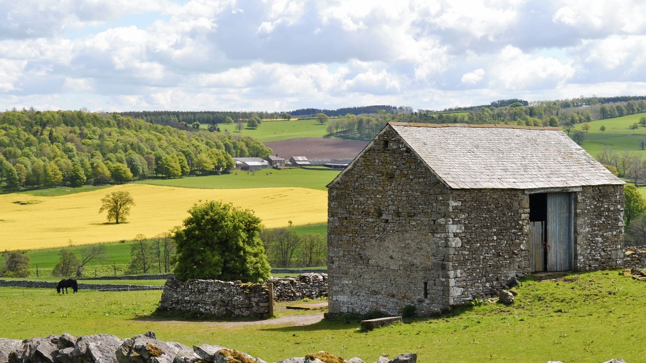 Photo of Others in Bampton