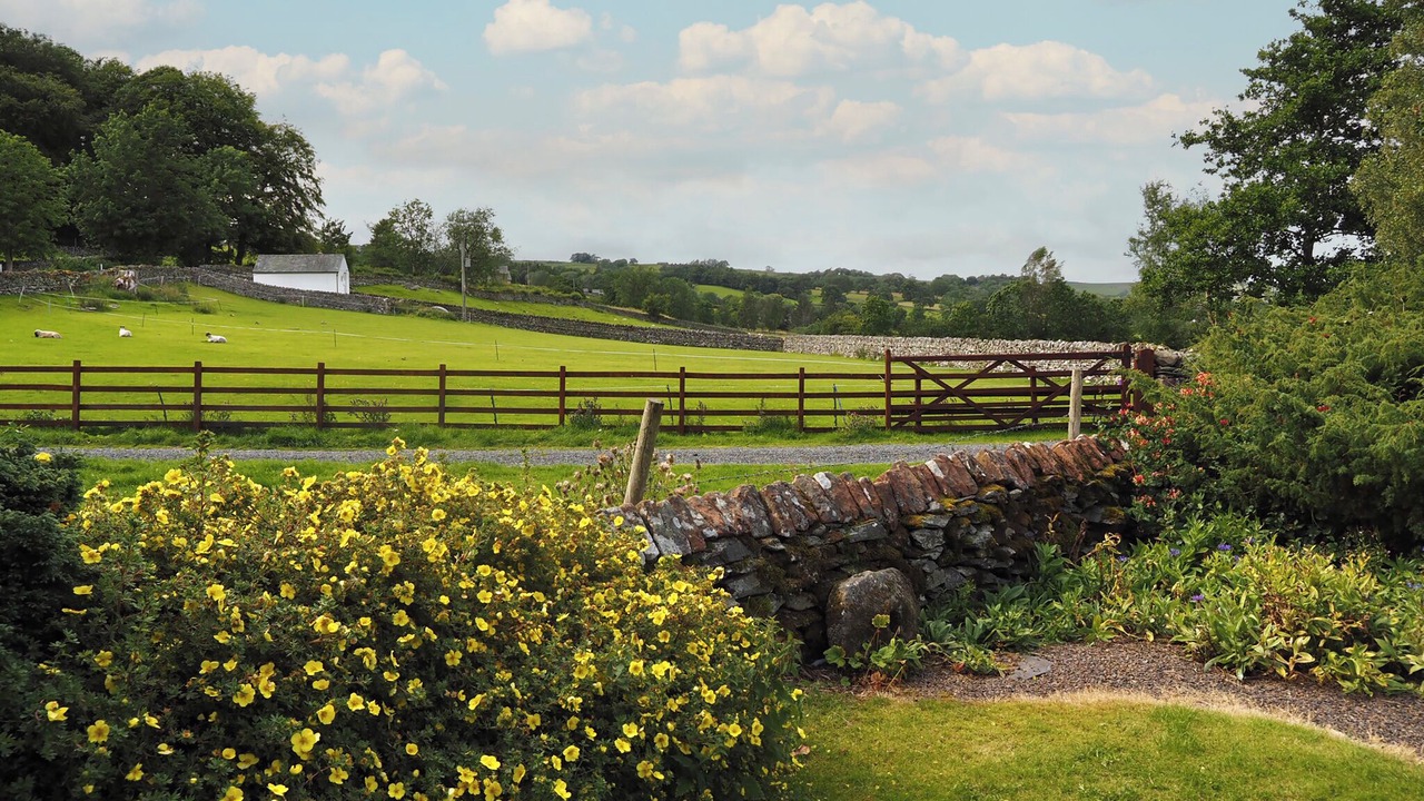 Photo of Outdoor in Bampton