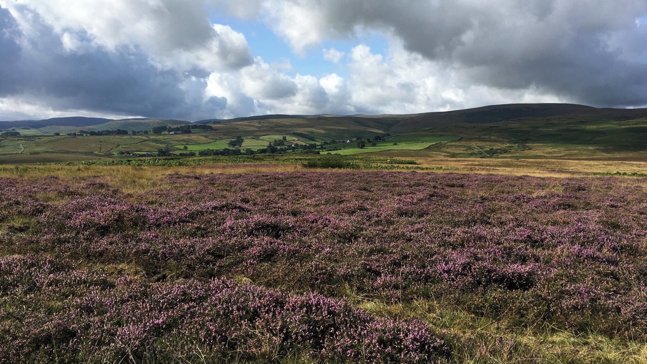 Photo of Others in Bampton