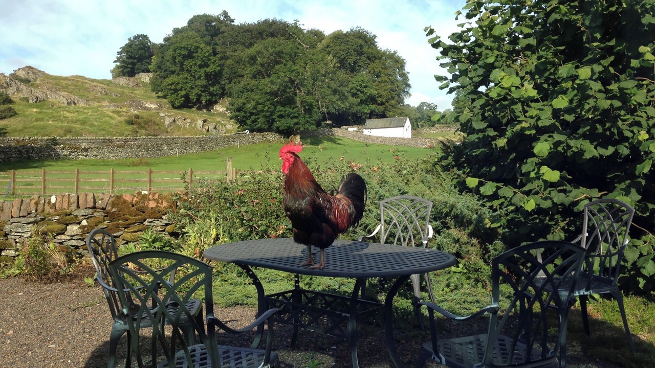 Photo of Outdoor in Bampton