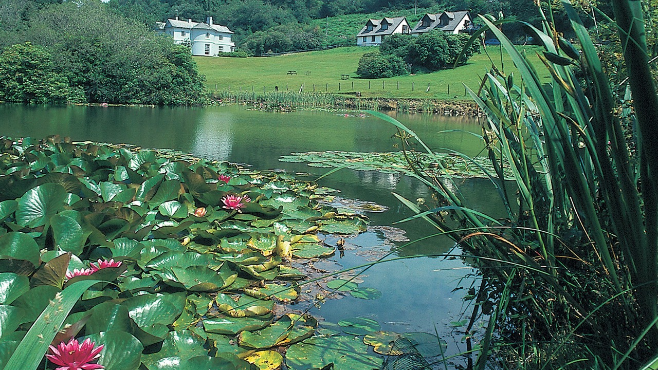 Photo of Others in Liskeard