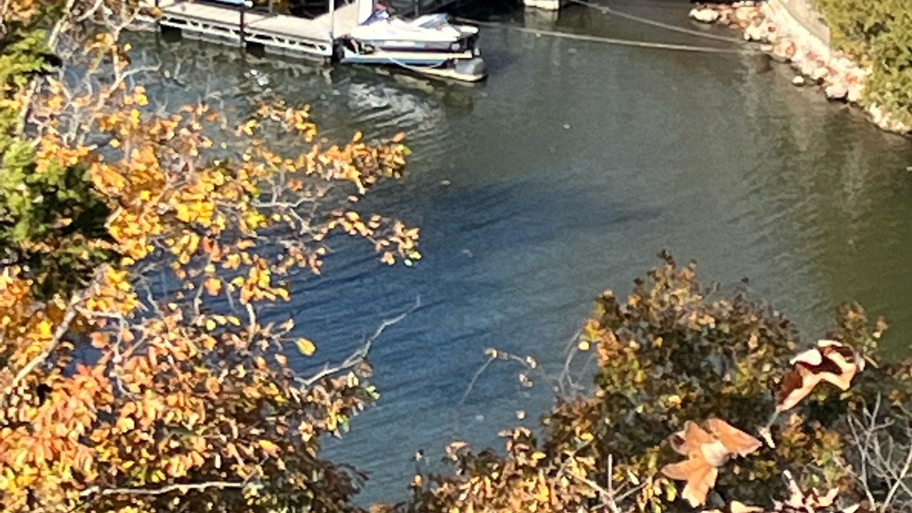 Photo of Others in Osage Beach