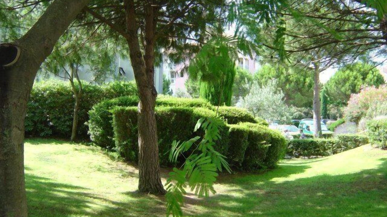 Photo of Outdoor in Le Grau-Du-Roi