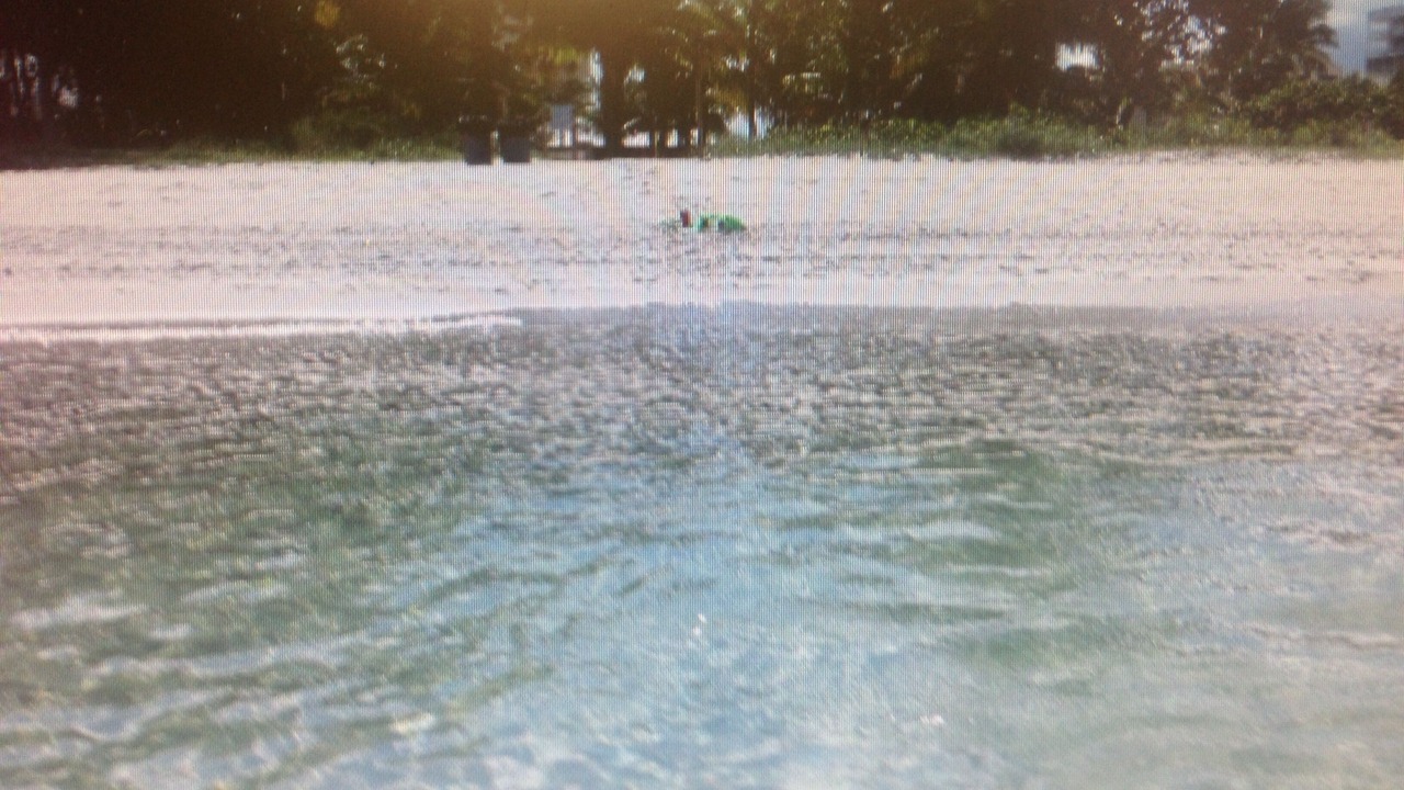Photo of Others in Key Biscayne