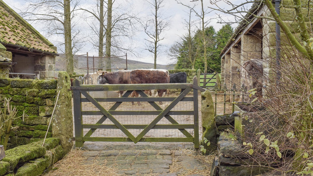 Photo of Others in Great Fryup Dale