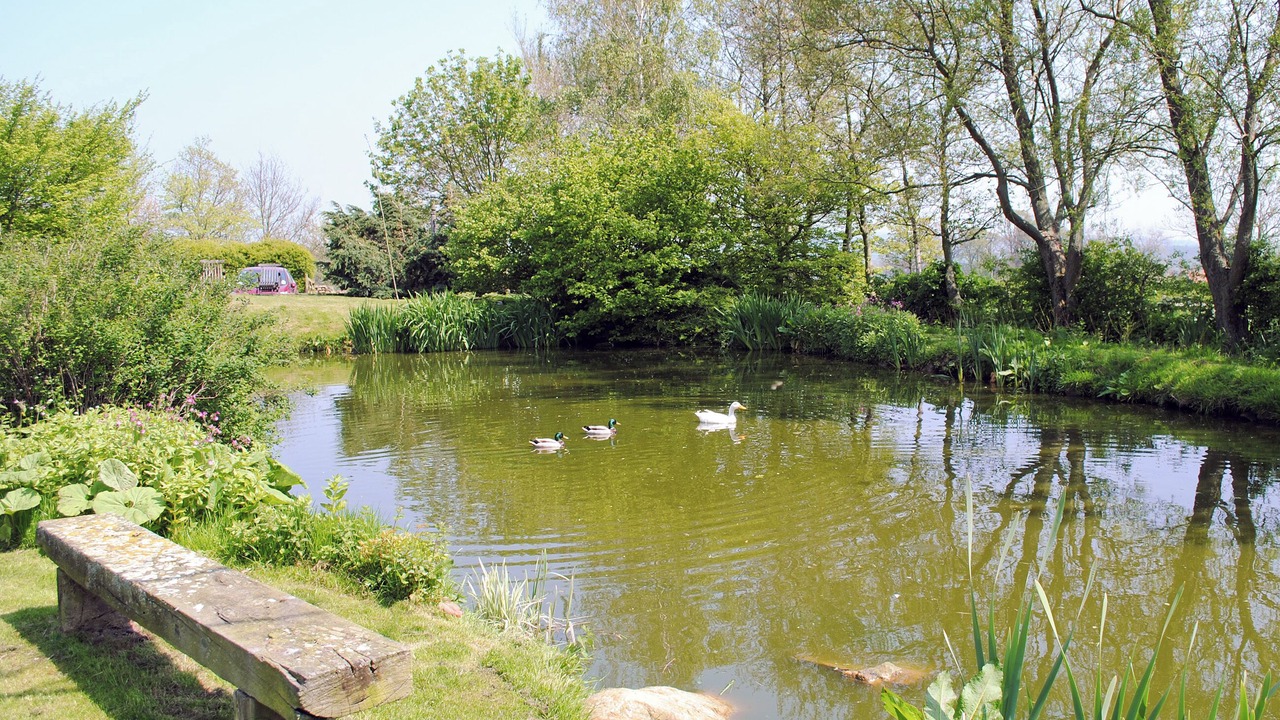 Photo of Others in Great Fryup Dale