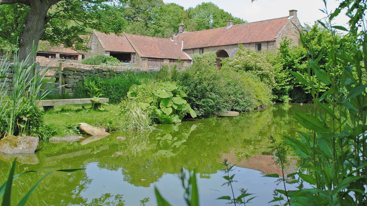 Photo of Others in Great Fryup Dale