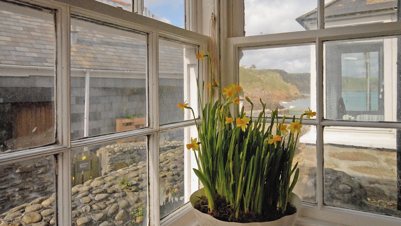 Photo of Others in Gorran Haven