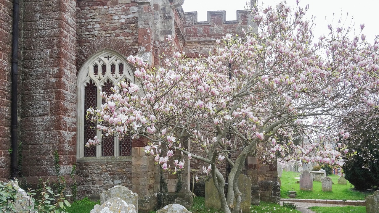 Photo of Others in Kenton