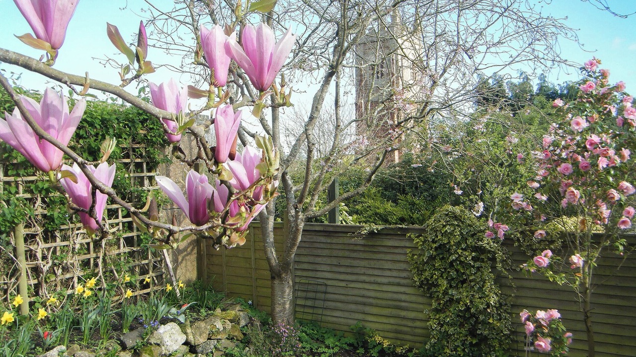 Photo of Outdoor in Kenton