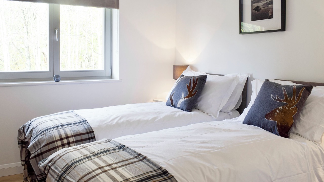 Photo of Others in Kenmore