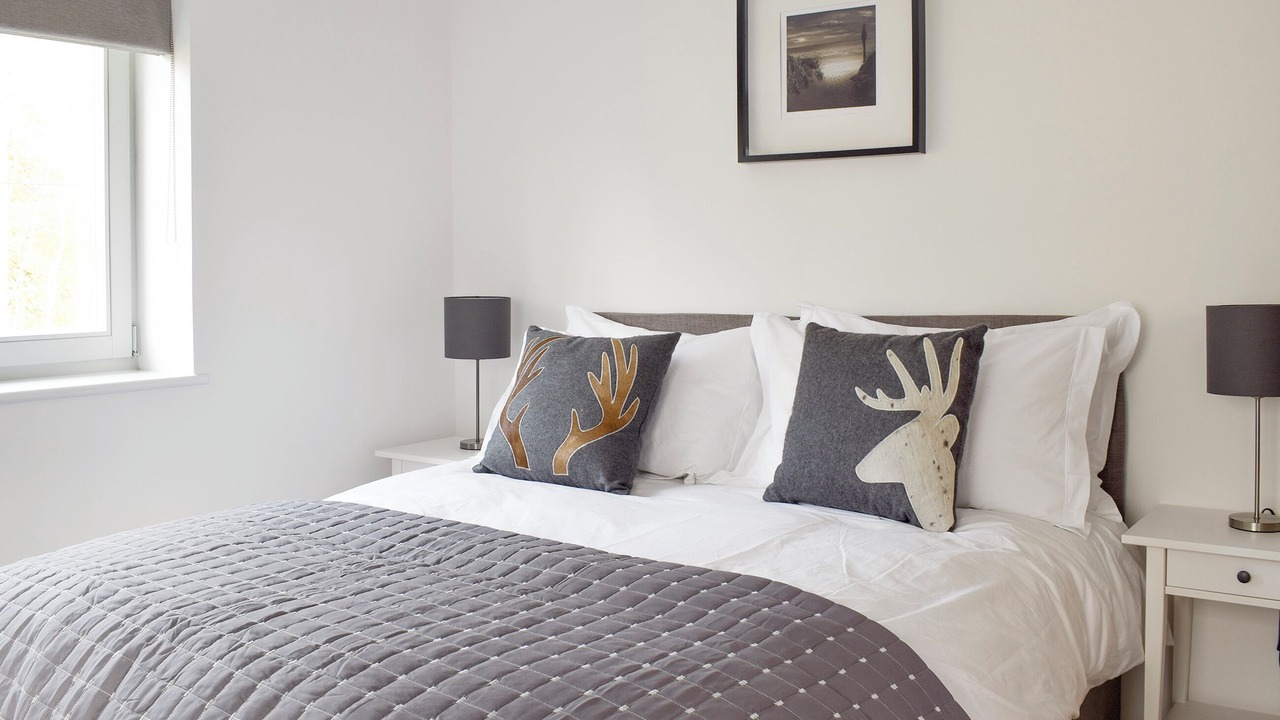 Photo of Others in Kenmore