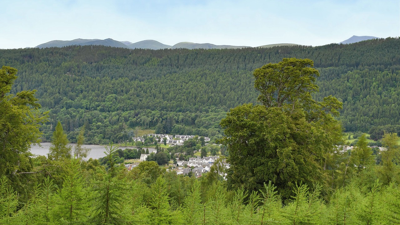 Photo of Others in Kenmore