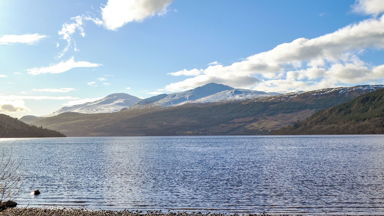 Photo of Others in Kenmore