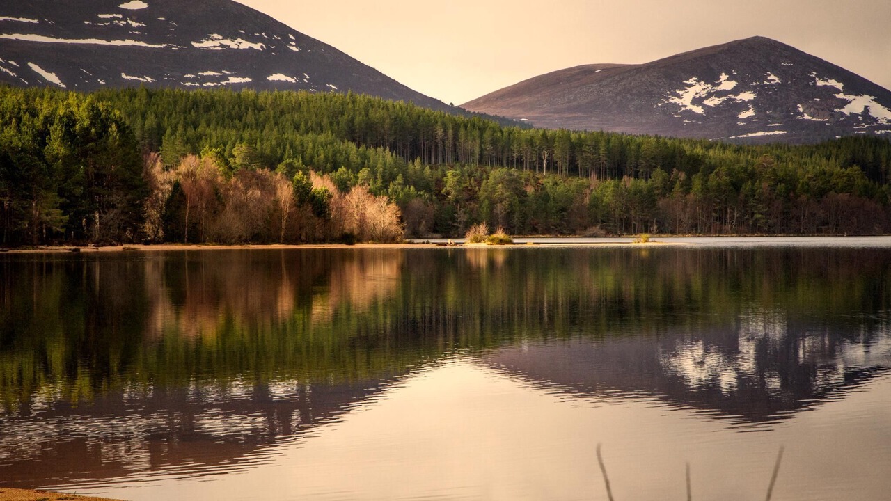 Photo of Others in Aviemore