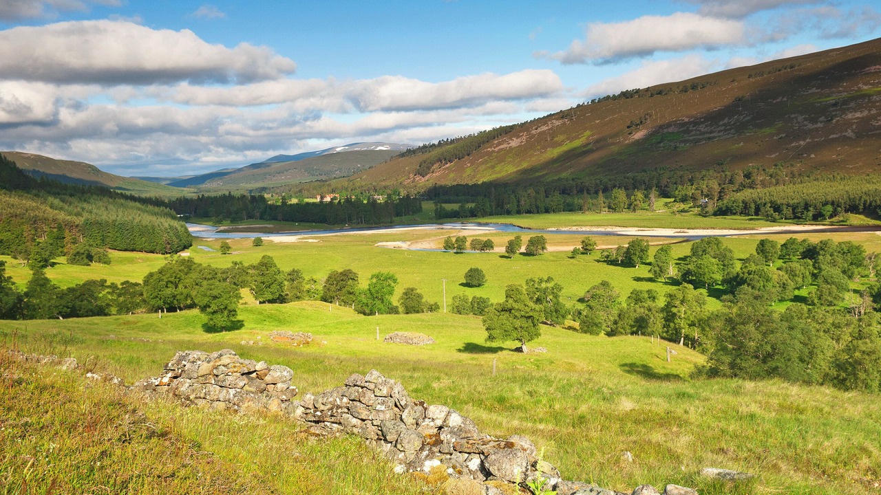 Photo of Others in Aviemore