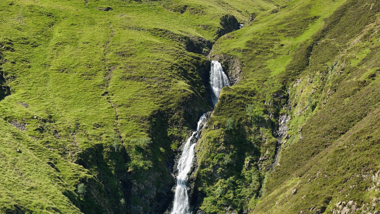 Photo of Others in Moffat