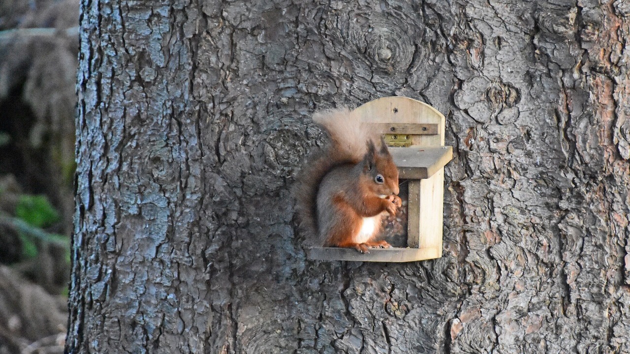 Photo of Others in Killin