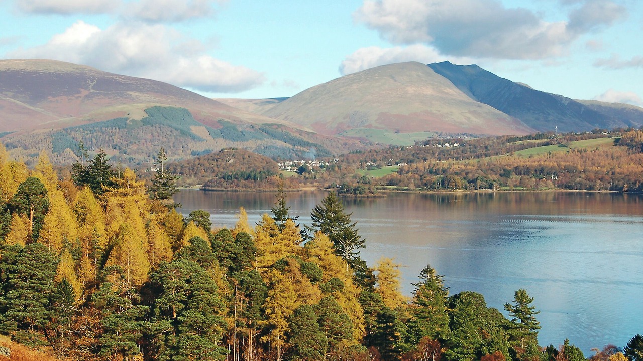 Photo of Others in Thirlmere