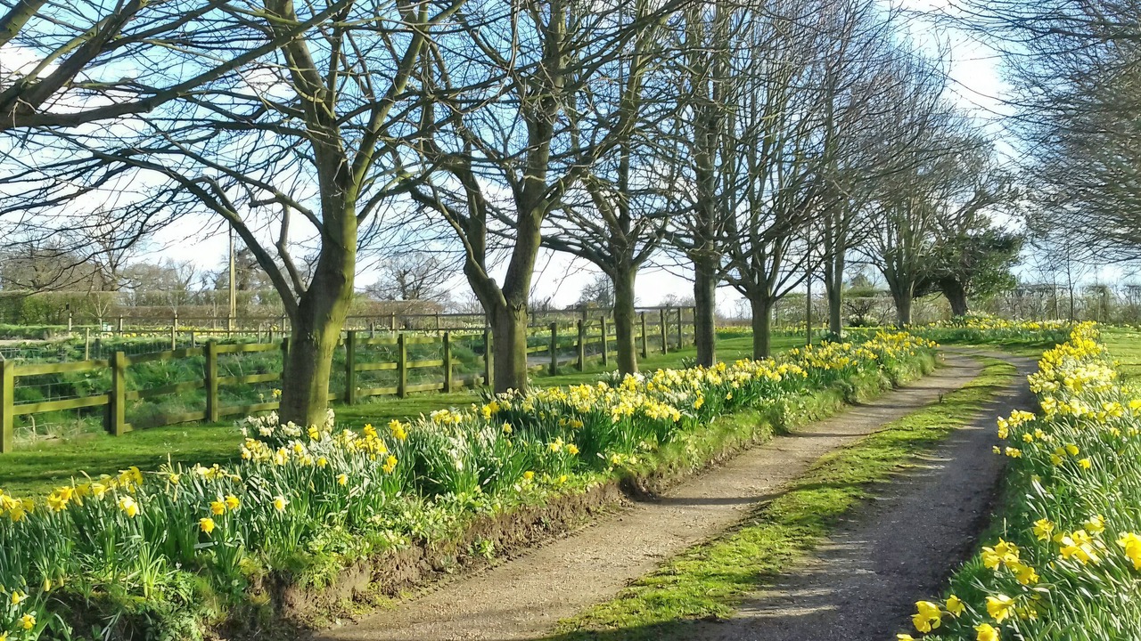 Photo of Outdoor in Aldborough