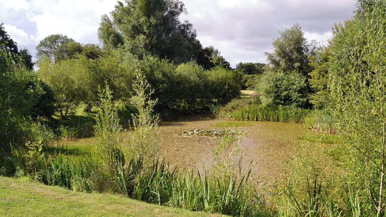 Photo of Outdoor in East Dereham