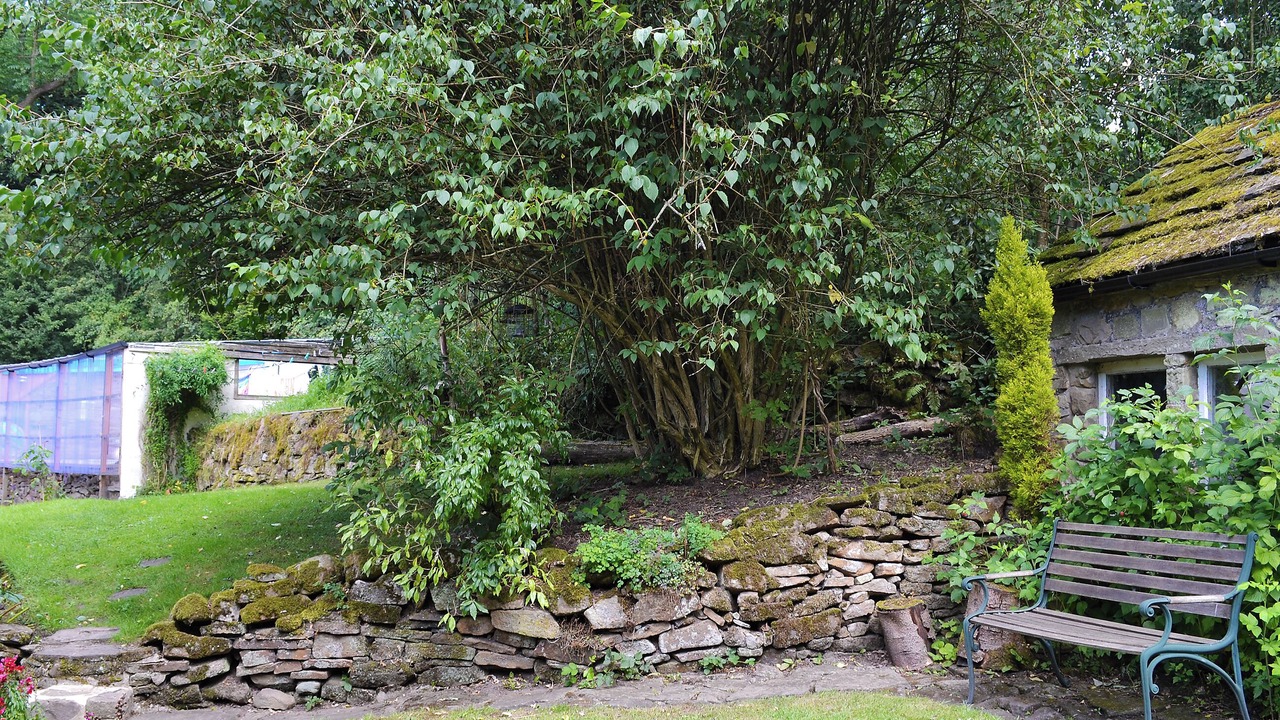 Photo of Outdoor in Chapel en le Frith